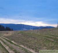 A landscape with a sunset, meadow, and mountains; a fox is running there. Gardens in the background.