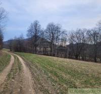 A country road runs alongside a field, surrounded by trees, ideal for relaxation in nature.