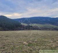 A wide meadow near the forest surrounded by hills, blue sky, an ideal place for gardens.