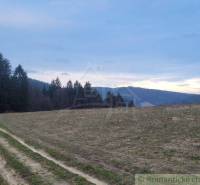 Fields and trees at the foot of the mountains, beautiful gardens in the natural landscape of the country.
