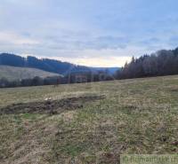 A vast meadow with a forest in the background, ideal for gardens and a natural retreat.
