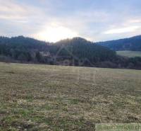 A still life at sunset in a natural landscape with a field and forest on the horizon.