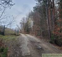 The forest path leads along the fence into the dense forest in nature and gardens.