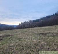 A grassy meadow near the forest with a view of the mountains and surrounding nature.