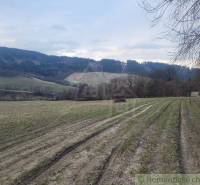 A landscape with tracks in the field, surrounded by hills and forests, ideal for gardens.