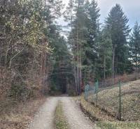 Forest path next to a fence on the edge of the forest, countryside in nature and gardens.