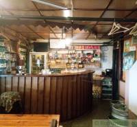 A cozy cabin with a wooden interior, a bar counter, and wall hooks is visible.