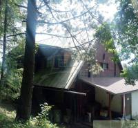 A cabin among the trees, with a metal roof, surrounded by nature, ideal for relaxation.