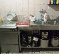 A kitchen in a cottage with a stainless steel sink, dishes, and cleaning supplies on the shelves.