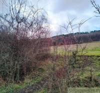 A landscape with bare trees, agricultural and forest land under a cloudy sky in the background.