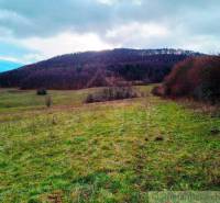 Green meadows and forest lands at the foot of the hill, natural landscape with sky.