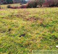 A green meadow with pastures, surrounded by bushes and agricultural and forest land.