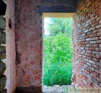 A view from an abandoned family house through a brick wall to the lush nature outside.