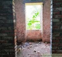 A relaxed house with brick walls, an unkempt interior, and greenery by the window.