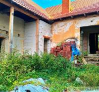An older family house with a crumbling facade, piles of bricks, and lush vegetation.