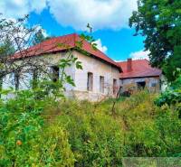 An abandoned family house with a garden and tall grass, surrounded by trees and weeds.