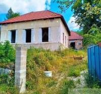 Overgrown family house, with incomplete facade, red roof, blue gate, nature.