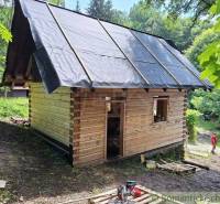 A wooden cabin in nature under construction, surrounded by trees, friends visiting.