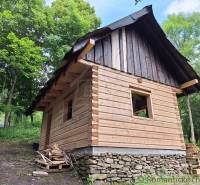 A wooden cabin in the forest, surrounded by nature, appears traditional and cozy.