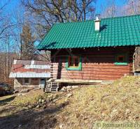 A cabin in the woods with wooden paneling, a green roof, and a blue car.