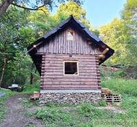 A wooden cottage in the middle of the forest surrounded by greenery and a wooden fence.