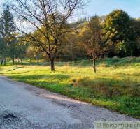 A rural plot with a road and trees, ideal for living in nature.