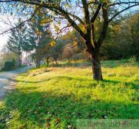 Greenery, trees, and a path offer a peaceful space for living and relaxation.