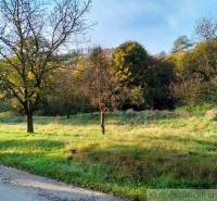 Greenery, trees, grass, and land for living, an ideal location for nature.