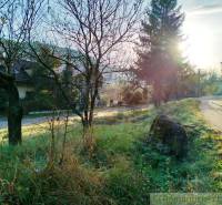 Countryside landscape with meadows and trees, ideal for living in a peaceful place.