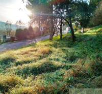 A path with sunlight surrounded by greenery, land - living in a natural environment.