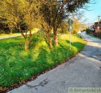 A peaceful street surrounded by greenery, trees, and peaceful living in a quiet environment.