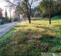 Visible nature, road, and land - living surrounded by green countryside and trees.