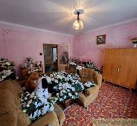 Living room with flowers, plush toys, and a wooden cabinet, in a family house.