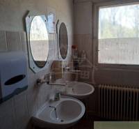 A bathroom with two sinks, mirrors, a window, and a radiator suitable for commercial spaces.