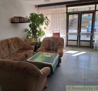 Interior with a sofa, table, plant, books, and glass doors, suitable for commercial spaces.