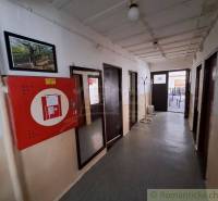 Hallway in commercial premises with a hanging painting, doors, and a fire cabinet on the wall.
