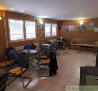 Interior of a café in commercial premises with comfortable armchairs, tables, and decorations.