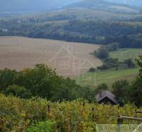 Rural landscape with agricultural and forest land, hills and dense trees.