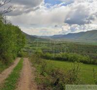 A stone path leading through forest and agricultural lands with picturesque scenery in the background.