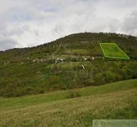 The image shows a green plot of land on a forest slope, designated for agricultural activities.