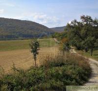A rural path between agricultural and forest lands with hills and trees in the background.