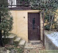 Brown wooden door of the cabin with stone steps surrounded by greenery and snow.