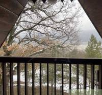 View from the cottage of a snowy landscape, with trees and a field in the distance.