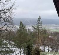 A snowy landscape with a forest, fields above, and a cottage with a view of the mountains.