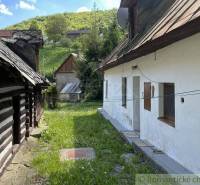Wooden cottage and family house near the forest, grassy yard, rural atmosphere.