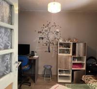 A room in a family house with a desk, a blue chair, a cabinet, and a decorative wall tree.