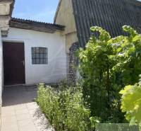 Entrance to the cottage in Rožňava with plants and wooden cladding in the yard.