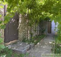 A stone corridor with greenery in a cottage, covered with the shady leaves of a vine.
