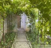 A pergola of climbing plants leads to the entrance of the cottage in Rožňava.