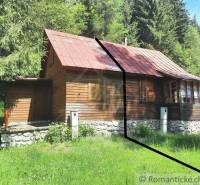 A wooden cabin in the forest, surrounded by grass, trees, and mountain scenery.